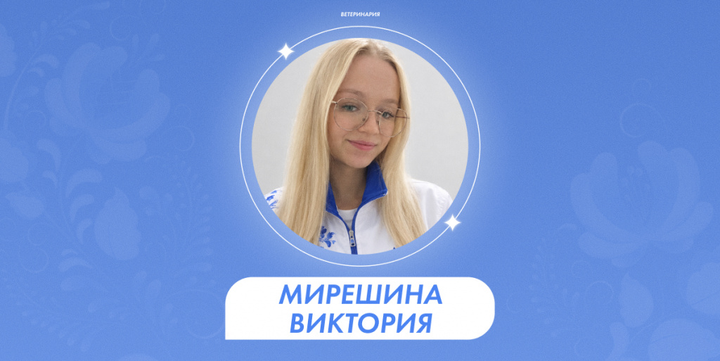 2026-09-28 Мирешина 1.jpg